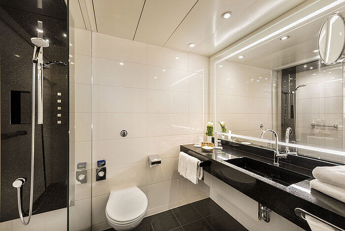 Modern bathroom with shower and large mirror at Maritim Hotel Bonn, elegantly designed with high-quality materials.