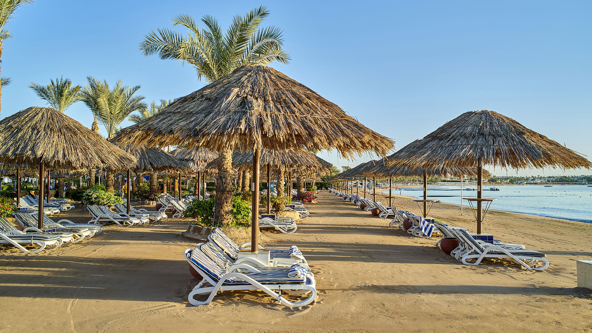 Beach | Maritim Hotel Sharm El Sheikh