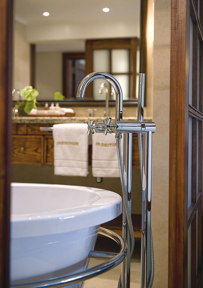 Modern freestanding bathtub with elegant fittings in stylish bathroom