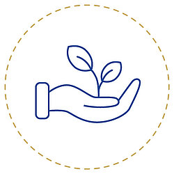 Icon representing environmental protection, shown as a hand holding a plant symbolising sustainability.
