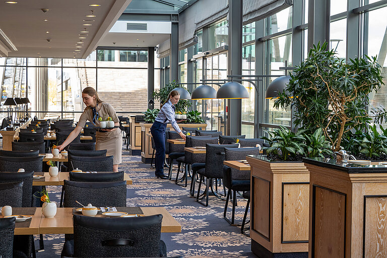 Wintergarten Restaurant Bright interior of Restaurant Wintergarten at Maritim Hotel Dresden with large windows and elegantly set tables.