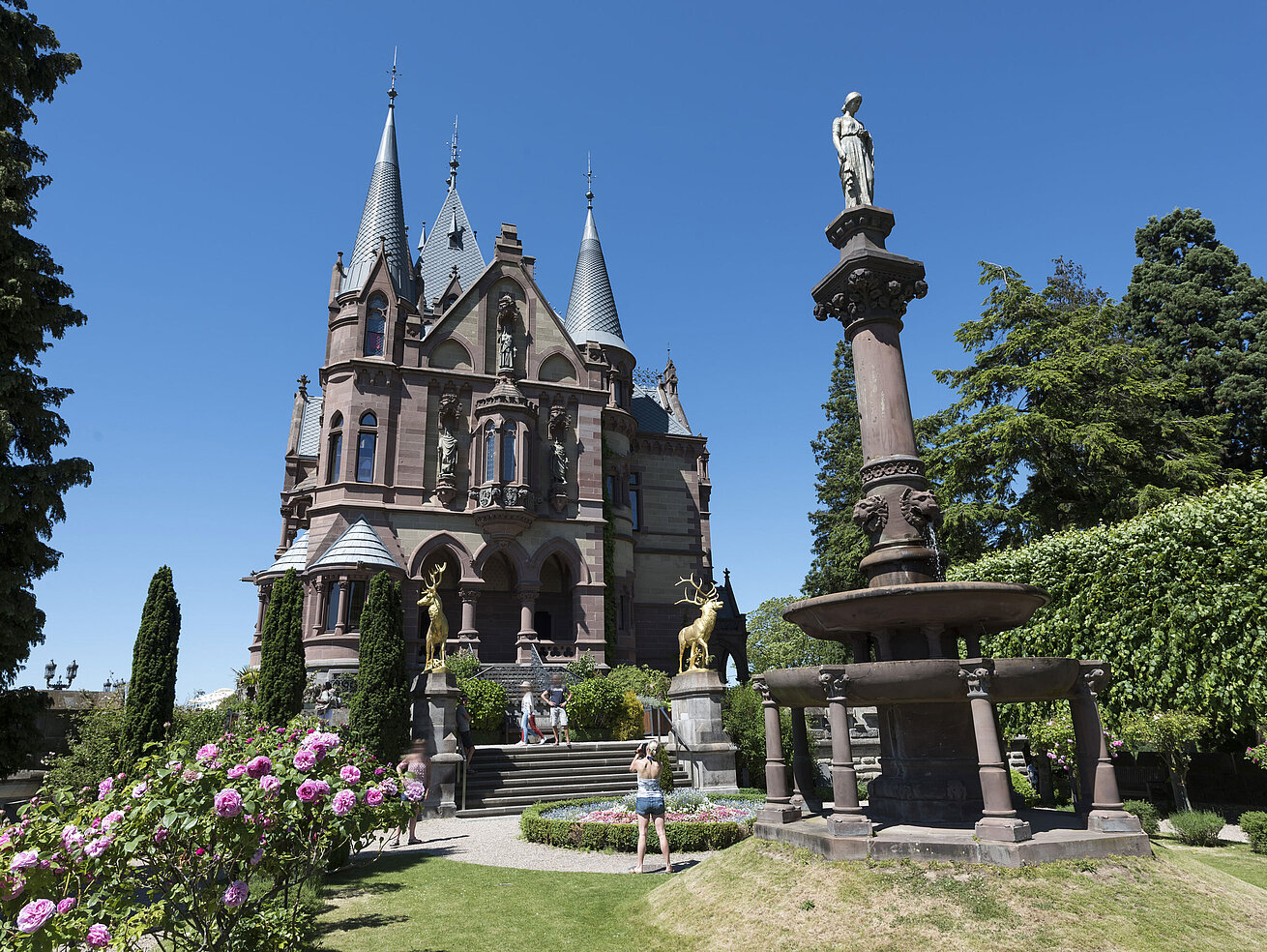 The magnificent Drachenburg Castle with an artistic fountain and blooming garden.