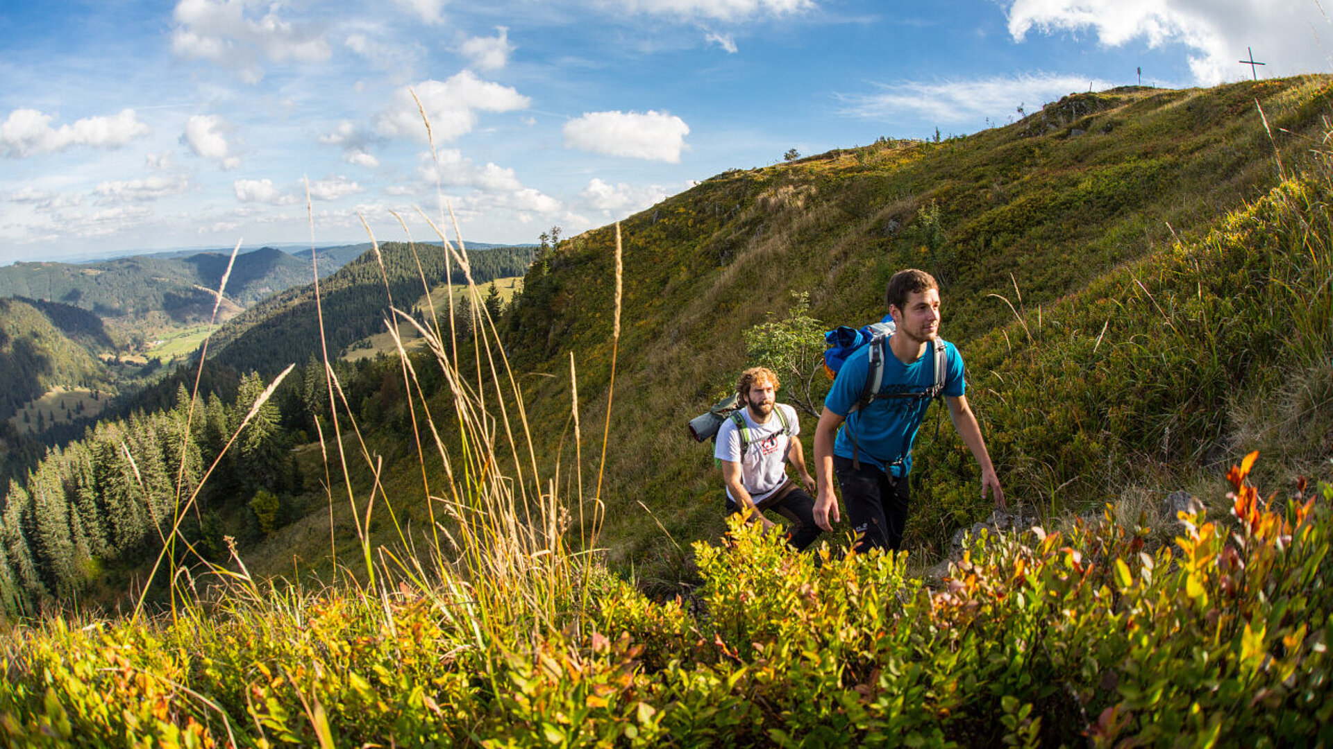Two hikers with backpacks on mountain trail in the Black Forest landscape