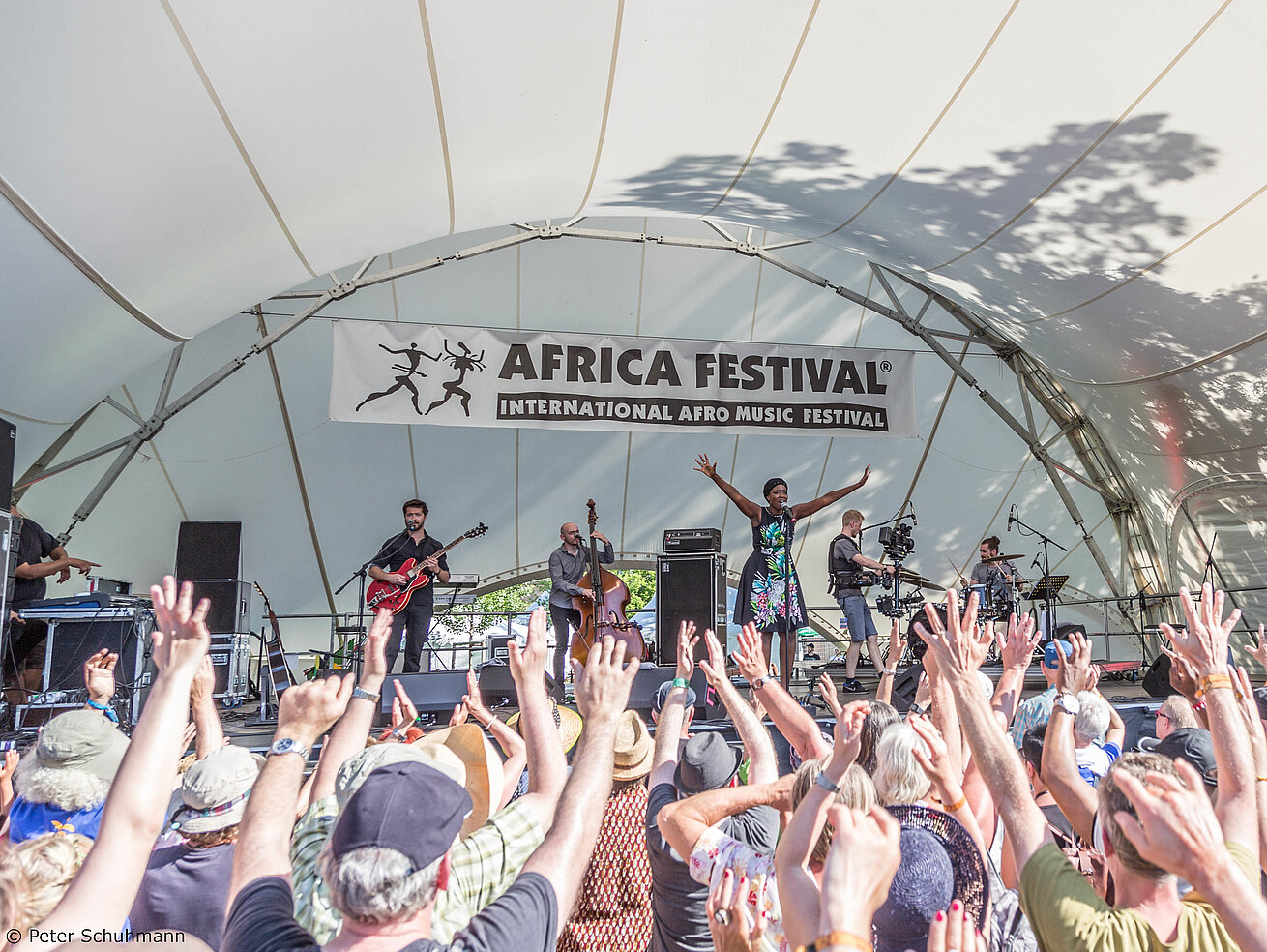 Africa Festival with live band on stage and cheering crowd at an open-air concert