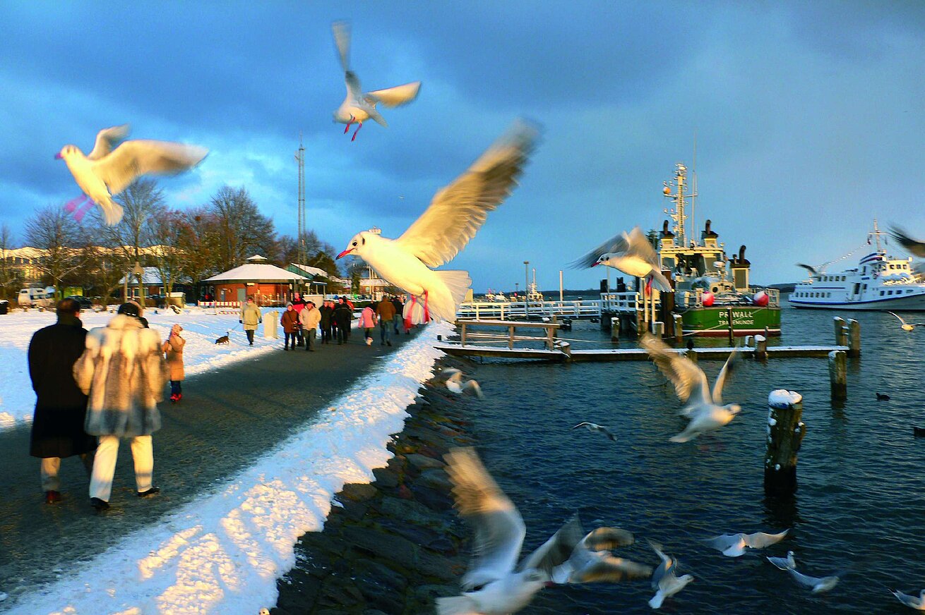 Winter promenade with seagulls and harbour view near Maritim Hotel Travemünde