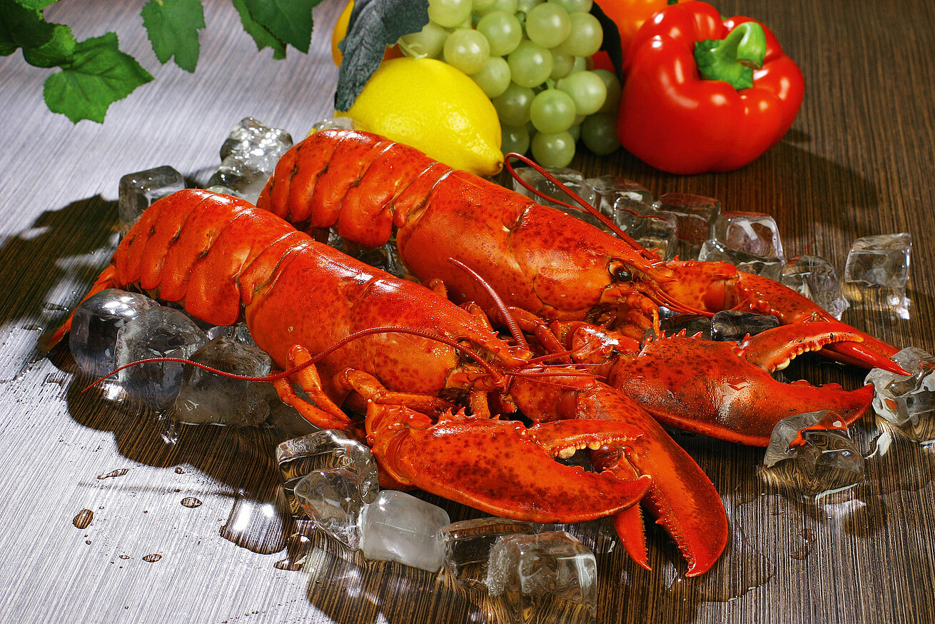 Lobster