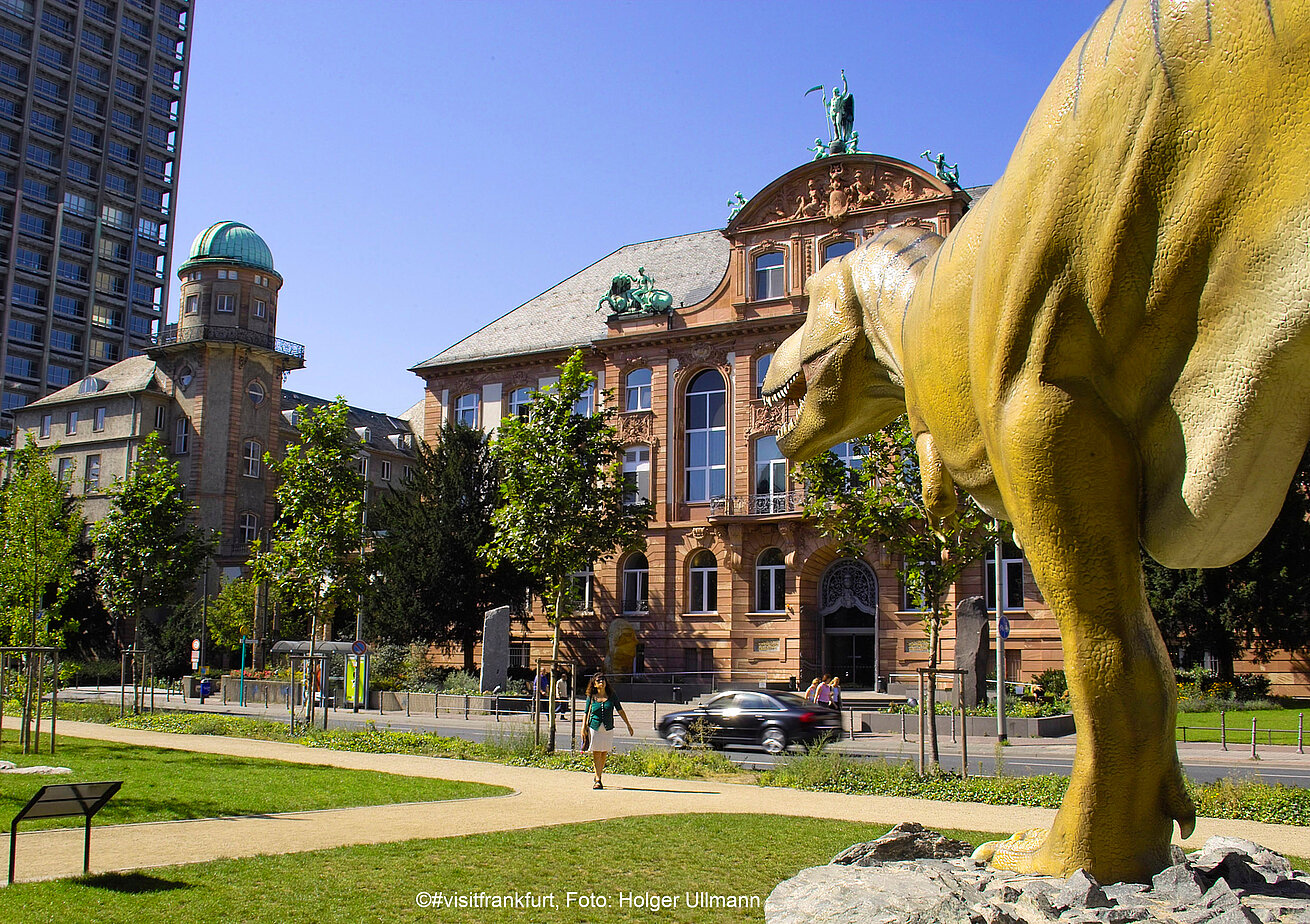 Senckenberg nature museum