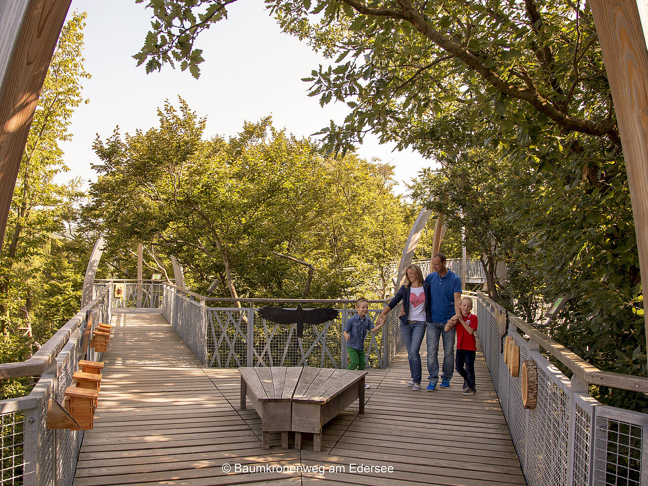 Family walking along a treetop walkway through the forest on a sunny day