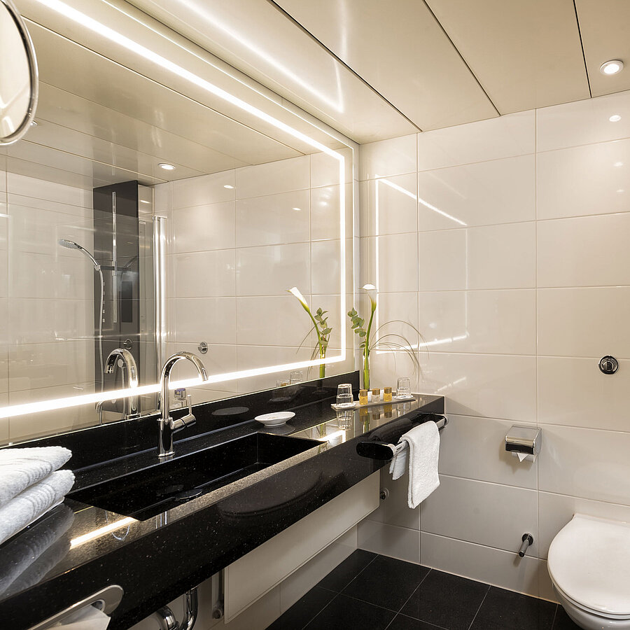 Modern bathroom with shower and bathtub at Maritim Hotel Bonn, featuring elegant fixtures and mirror lighting