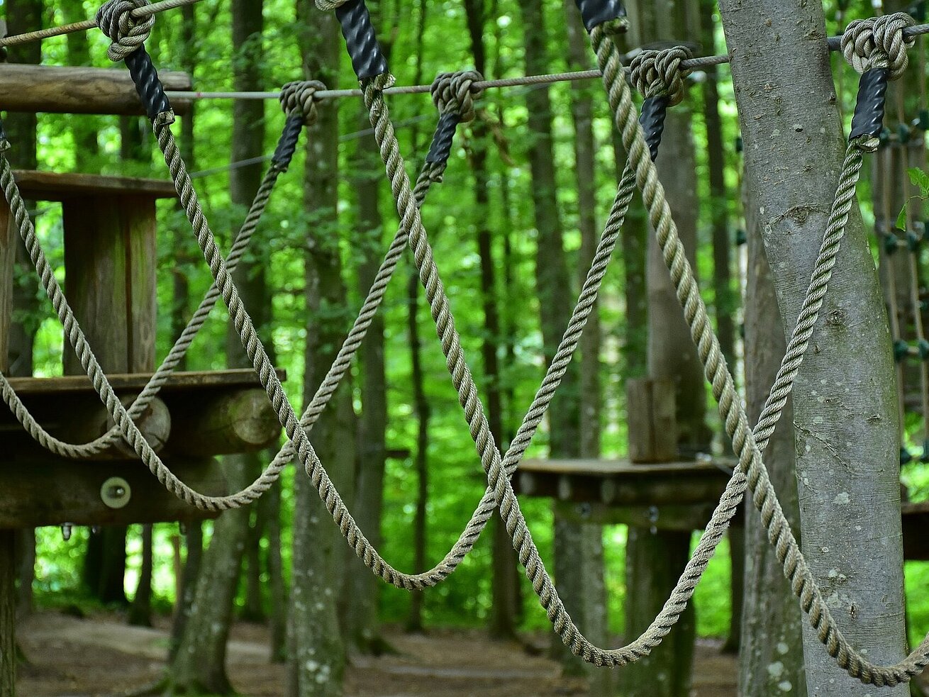 Rope course with climbing bridges between trees in a green forest