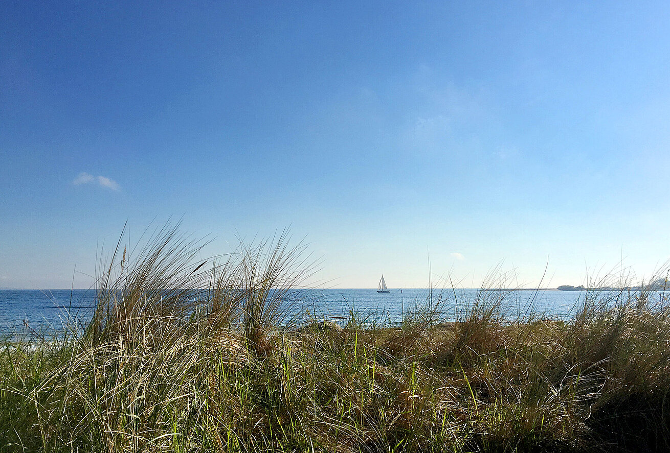 Binoculars | Maritim Hotel Kaiserhof Heringsdorf