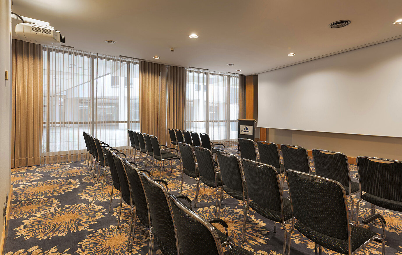 Modern seminar room with theatre seating, daylight and screen at Maritim Hotel Ulm.