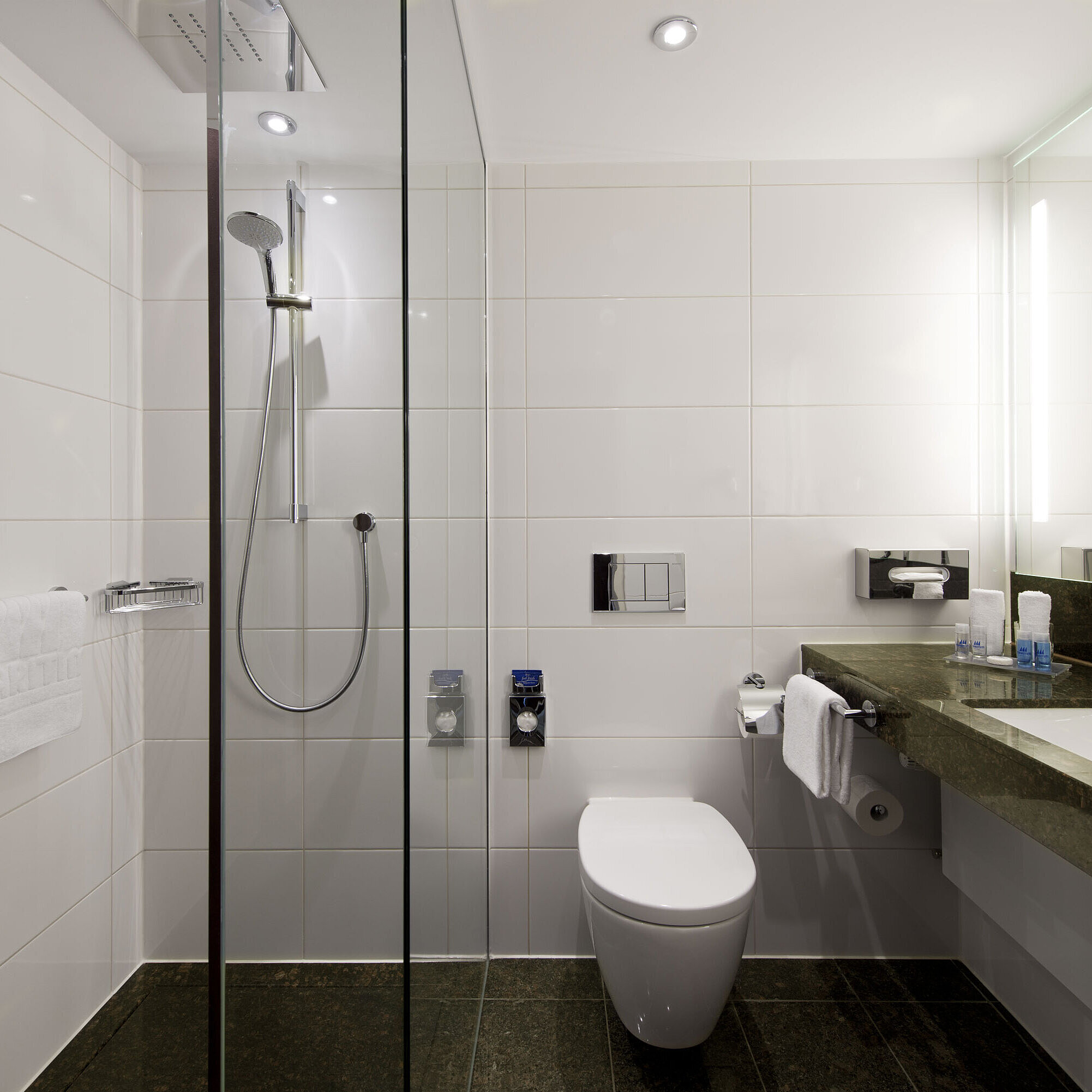 Elegant bathroom at Maritim Hotel Darmstadt with spacious rain shower, modern design, and dark granite countertop.