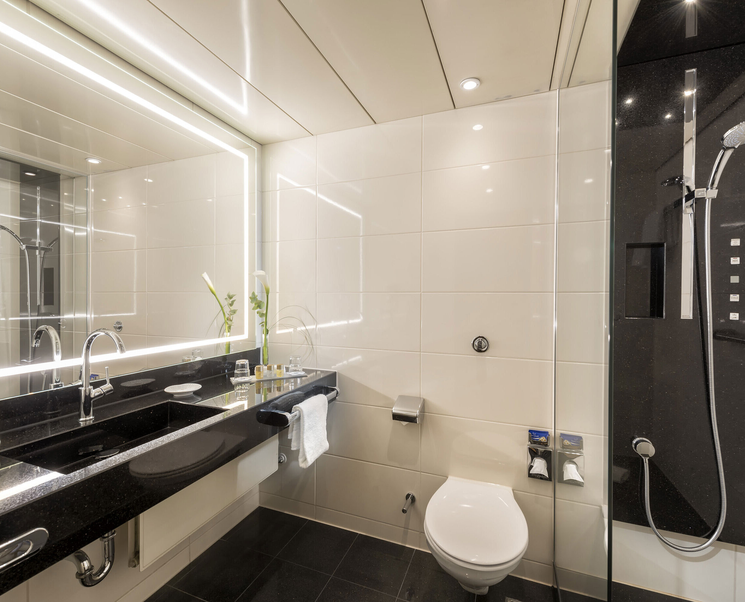 Modern bathroom with spacious shower, elegant sink, premium toiletries, and sleek design at the Maritim Hotel Bonn.