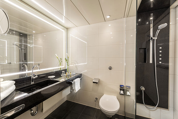 Modern bathroom with spacious shower, elegant sink, premium toiletries, and sleek design at the Maritim Hotel Bonn.
