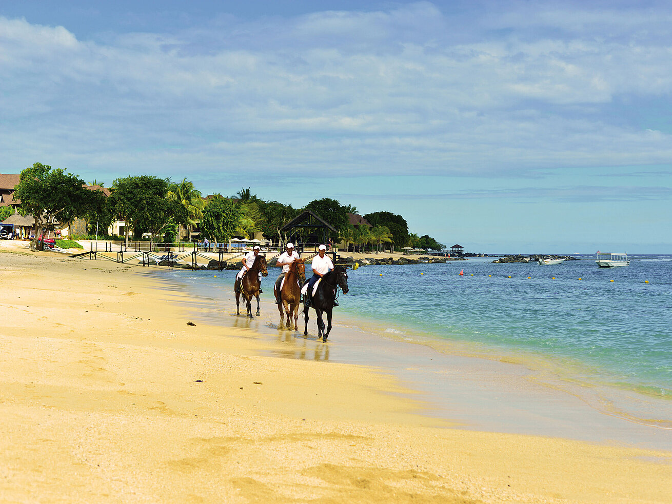 Horse riders along a sandy beach by the coast with calm sea views