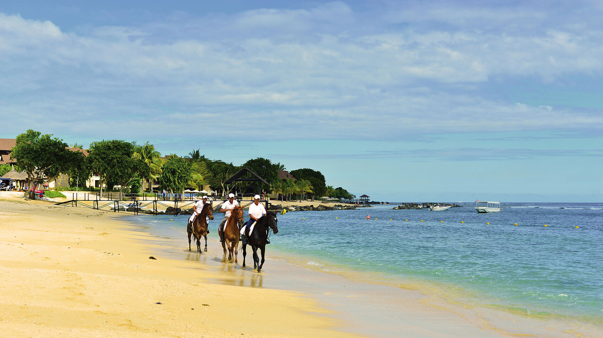 Horse riders along a sandy beach by the coast with calm sea views