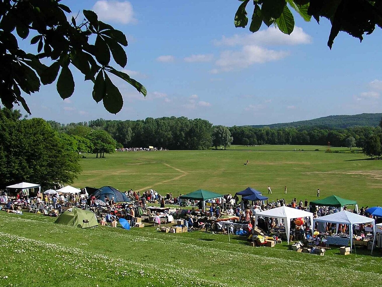 Flea market in the countryside with many stalls, visitors, and wide meadows