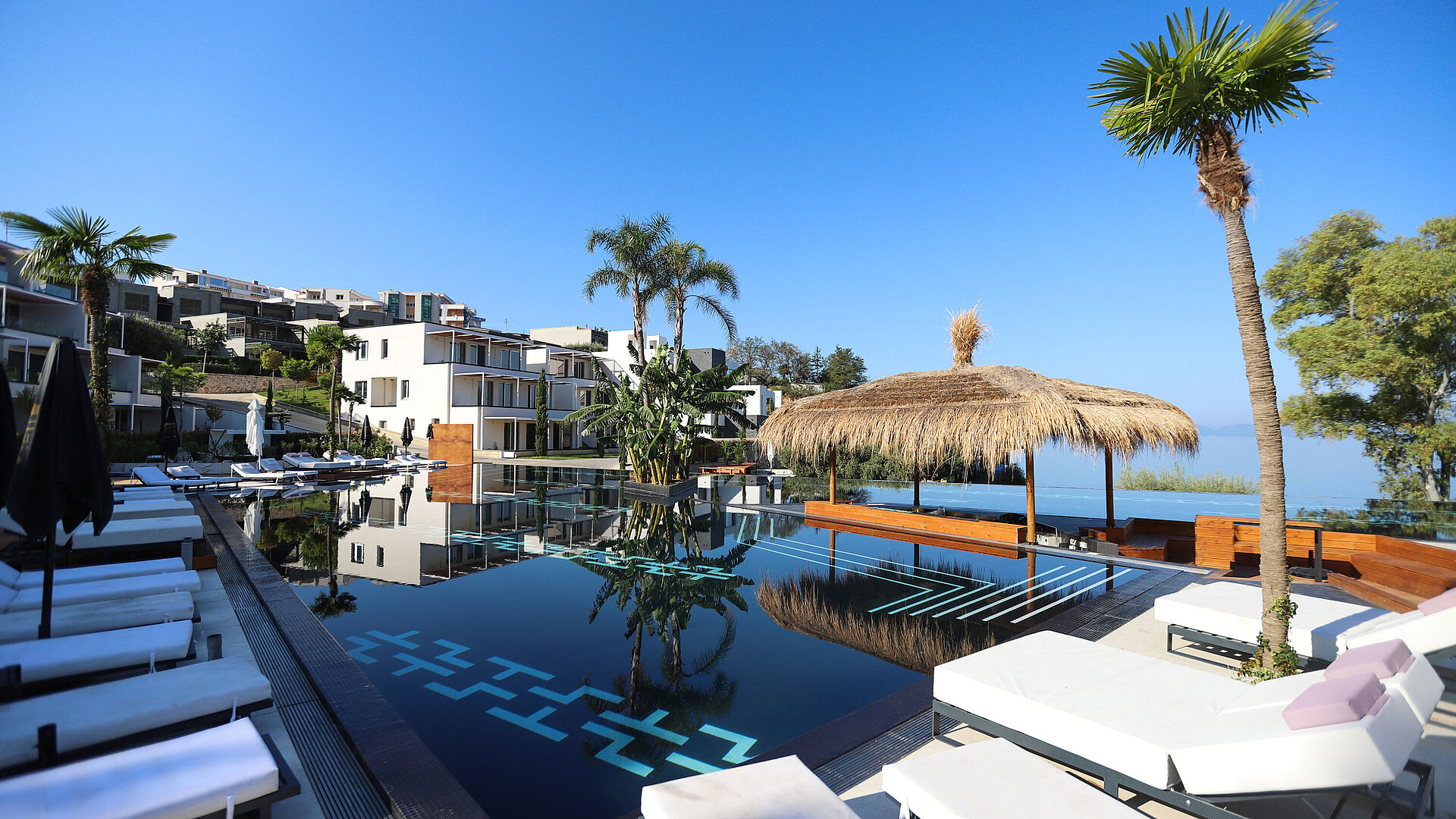 Exclusive pool area at Maritim Resort Marina Bay with palm trees, sun loungers and sea view